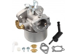 Carburator generator motor Briggs & Stratton (798653) (ORIGINAL)